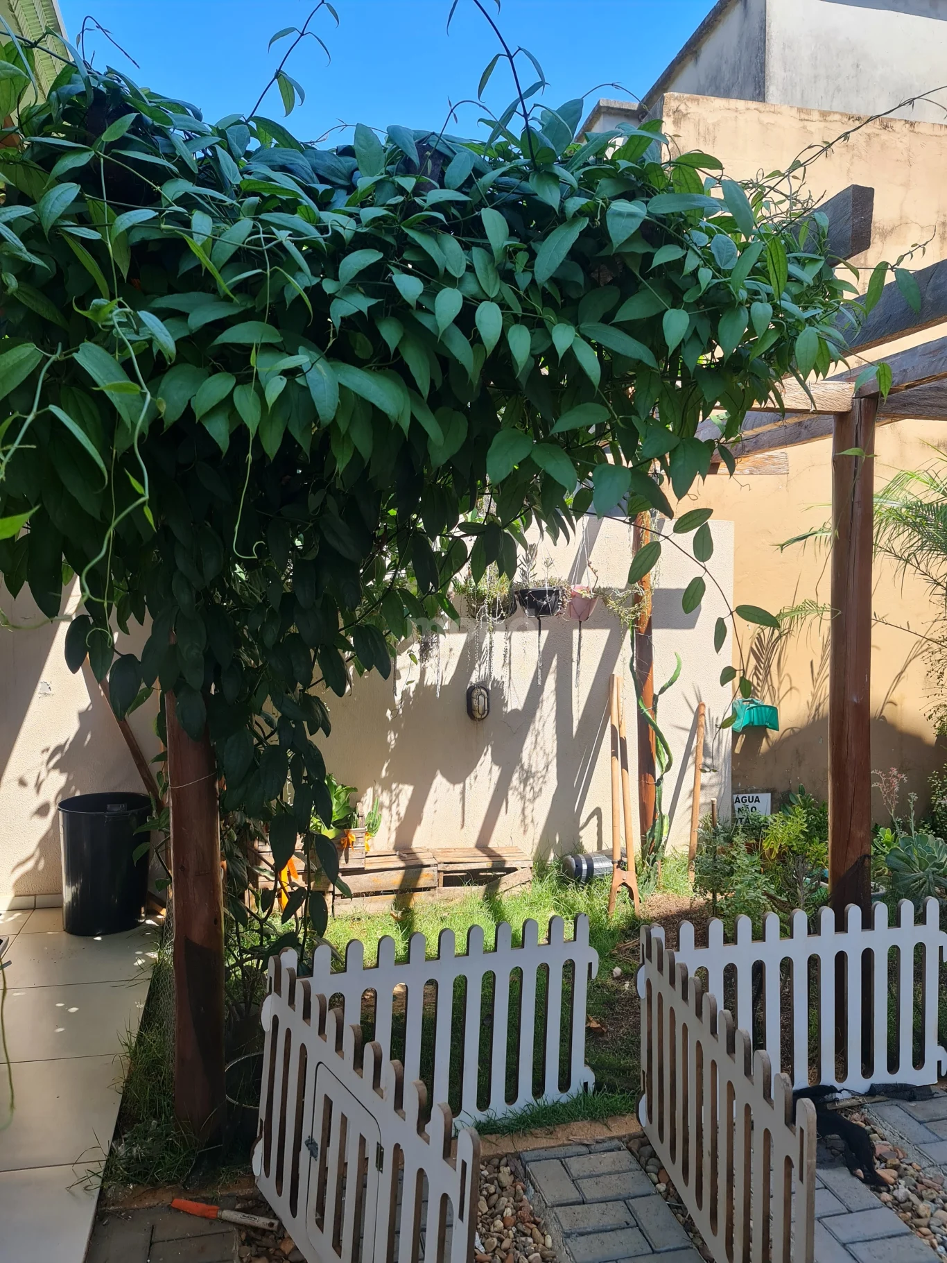 Casa para alugar com 3 quartos