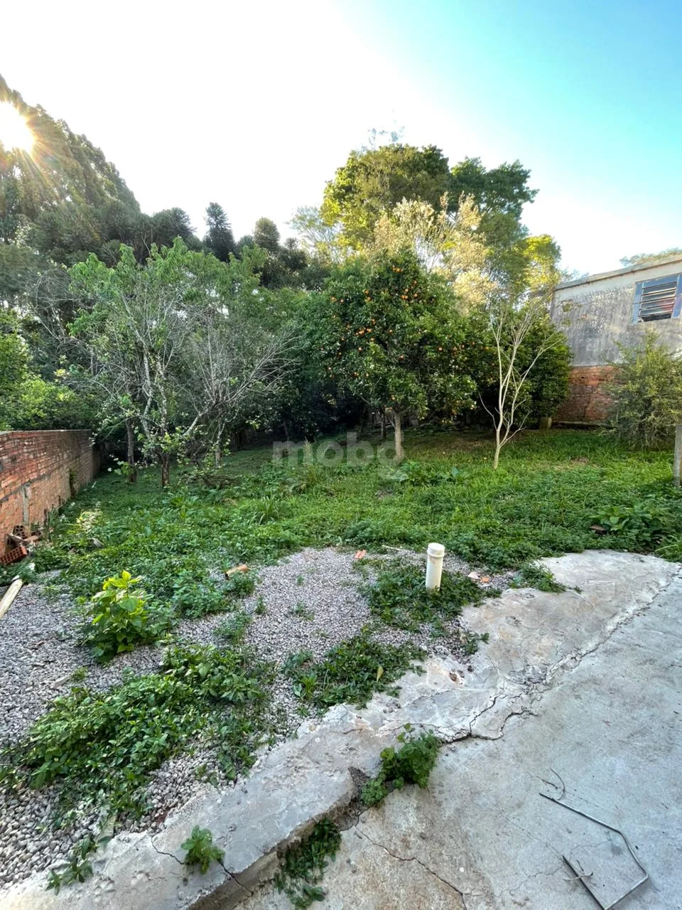 Casa para alugar com 3 quartos
