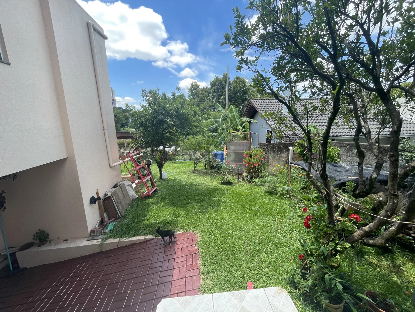 Casa para alugar com 2 quartos