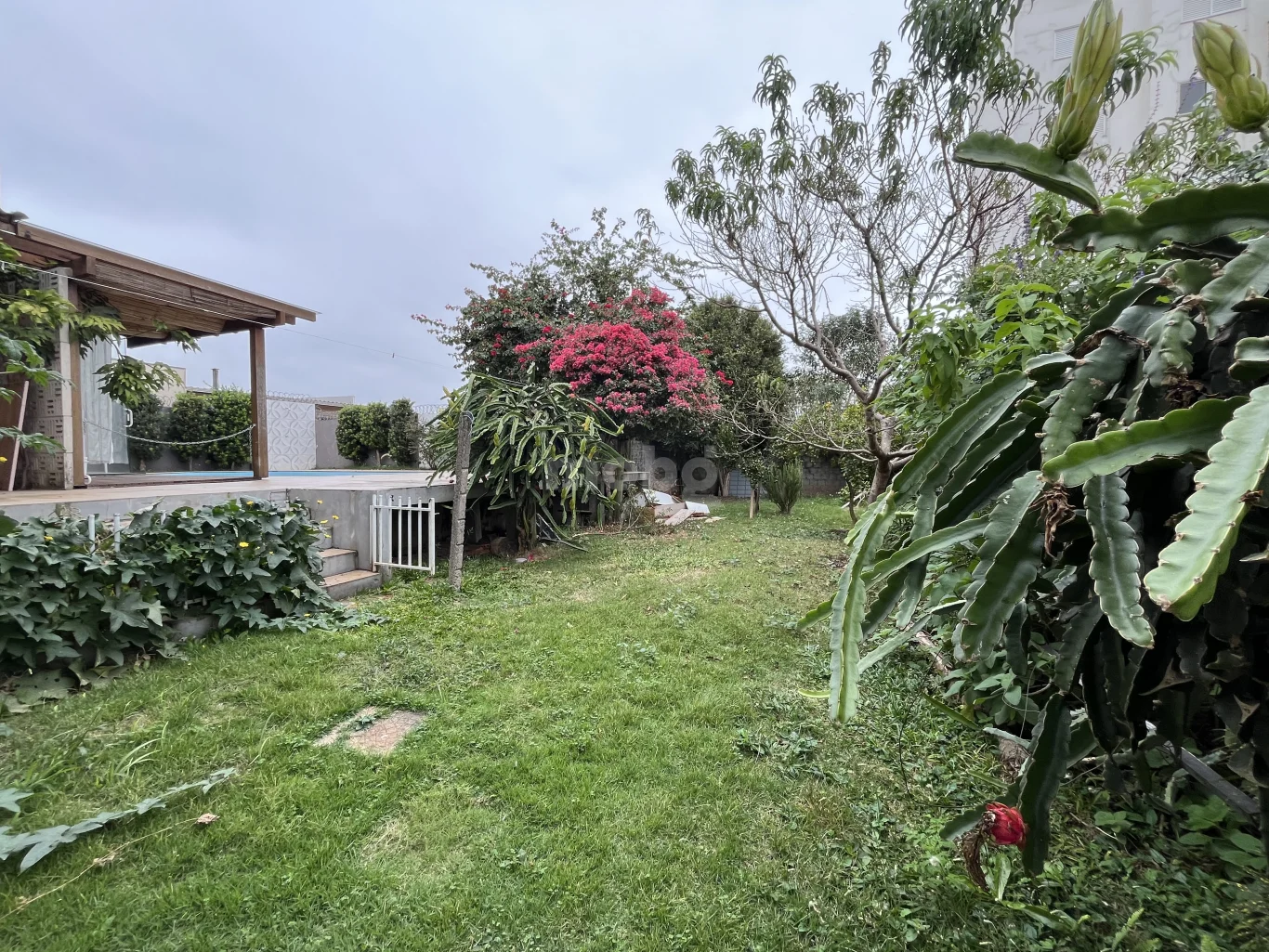 Casa para alugar com 4 quartos